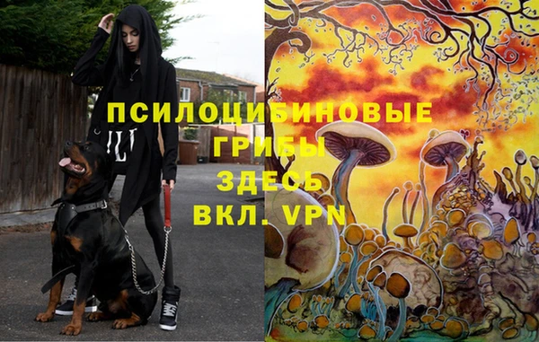 марихуана Новосибирск