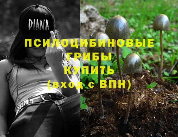 тгк Иннополис
