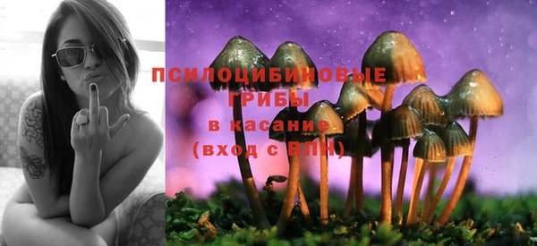 тгк Иннополис